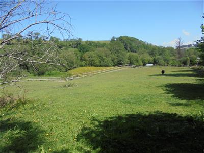 Picture 29